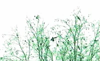the trees are green