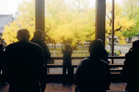 a group of people looking at a tree