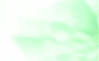 a green flower on a white background